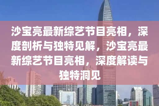 沙宝亮最新综艺节目亮相,深度剖析与独特见解,沙宝亮最新综艺节目亮相,深度解读与独特洞见
